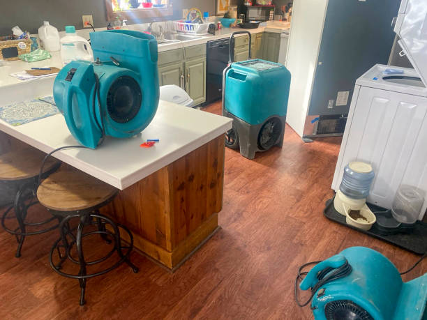 Best Professional water damage repair  in Montebello, CA
