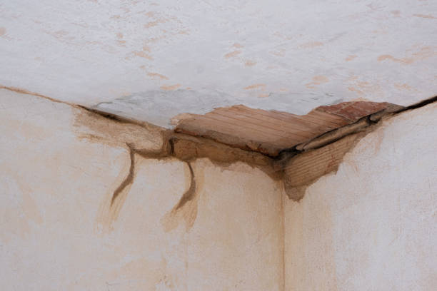Trusted Montebello, CA Water damage restoration Experts