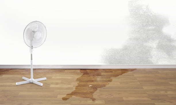 Best Sewage cleanup and water damage restoration  in Montebello, CA