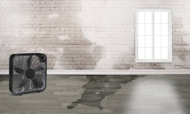 Best Ceiling water damage repair  in Montebello, CA