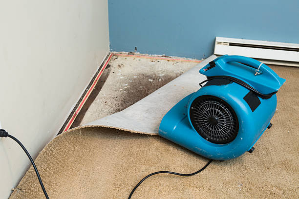 Best Flood restoration services  in Montebello, CA